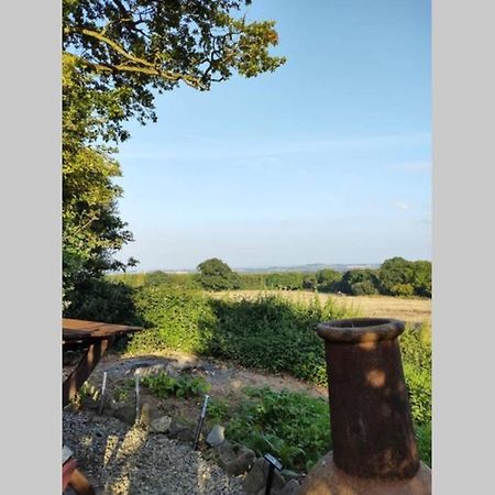 Self Catering Garden Lodge 러들로 외부 사진