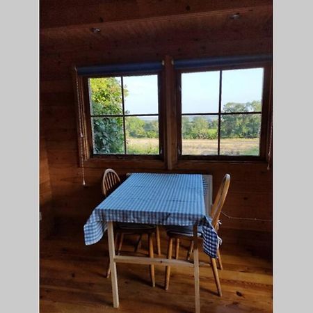 Self Catering Garden Lodge 러들로 외부 사진